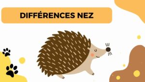 Hérisson à Nez de Chien ou Nez de Cochon : Différences