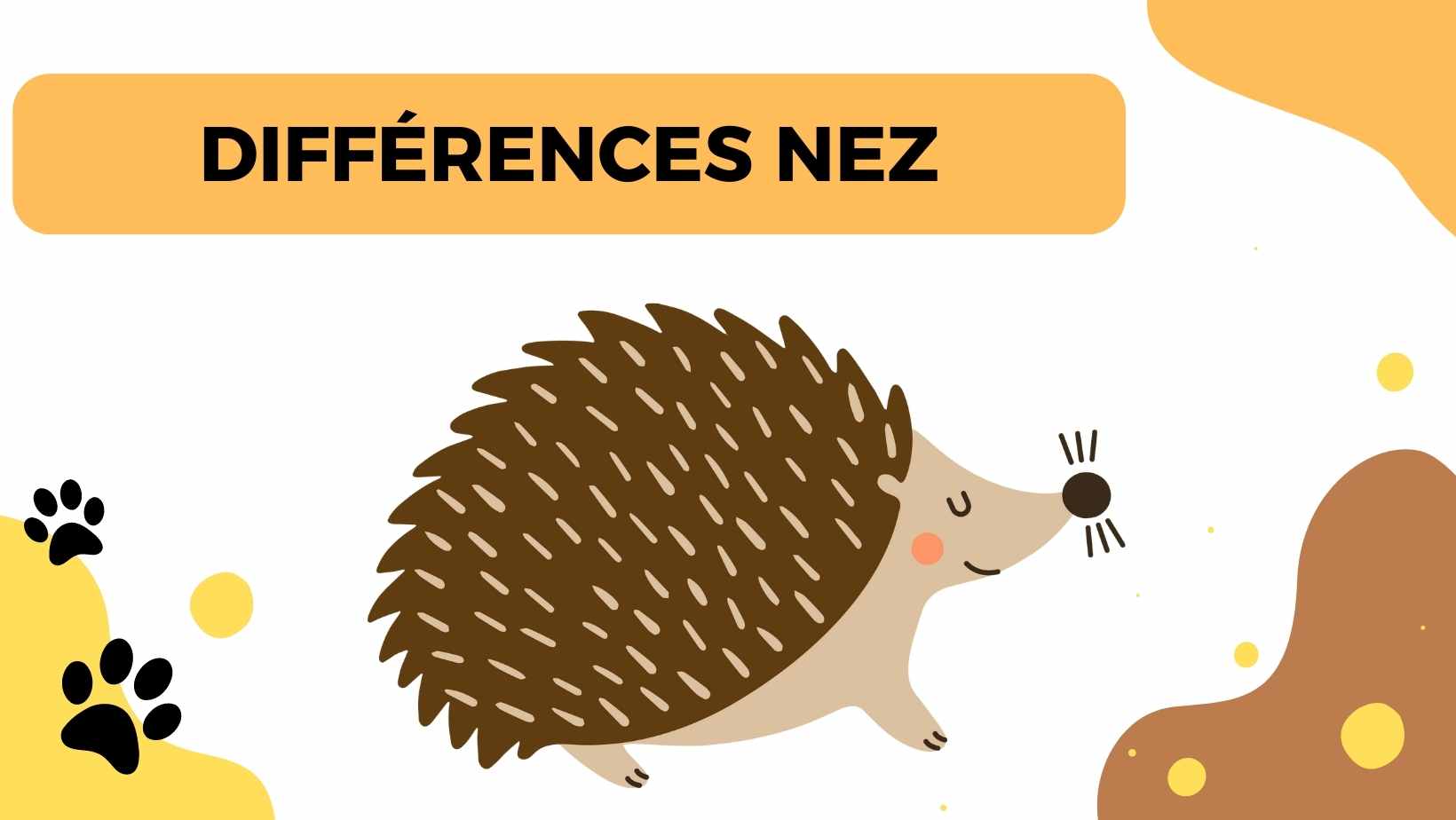 Différences nez