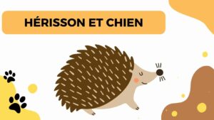 Hérisson et Chien : Une Coexistence ou un Risque de Leptospirose