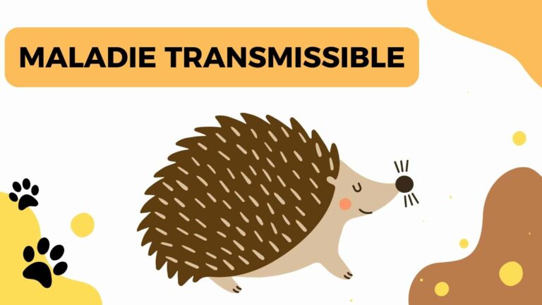 maladie transmissible