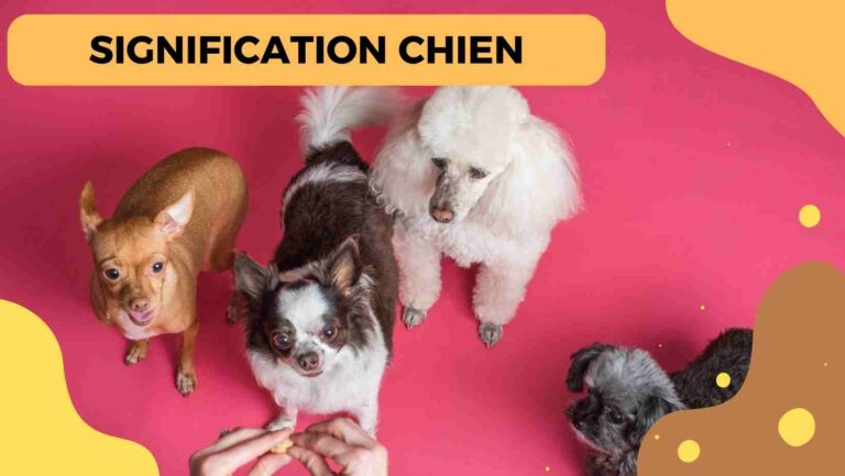 signification chien