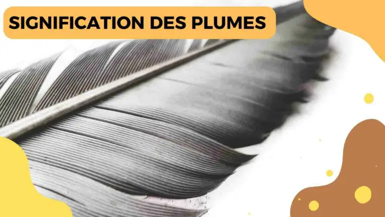 signification des plumes