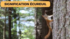 Hibernation des écureuils : Un mécanisme de survie étonnant