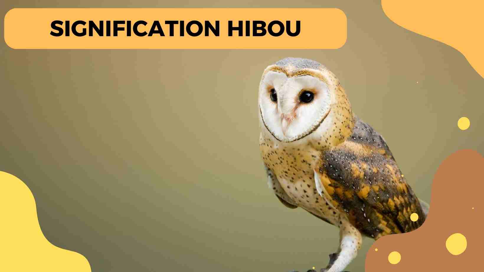 Hibou Dans Le Jardin Signification