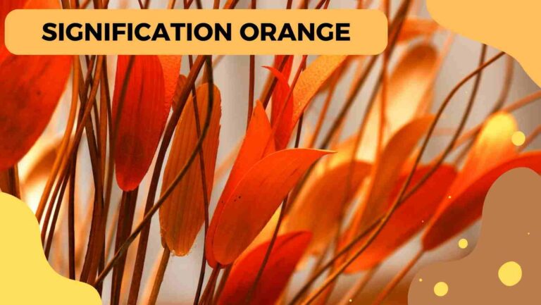 signification orange