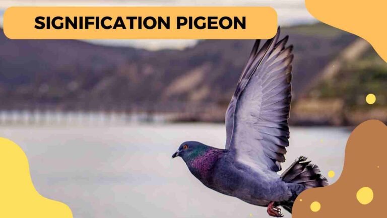 signification pigeon