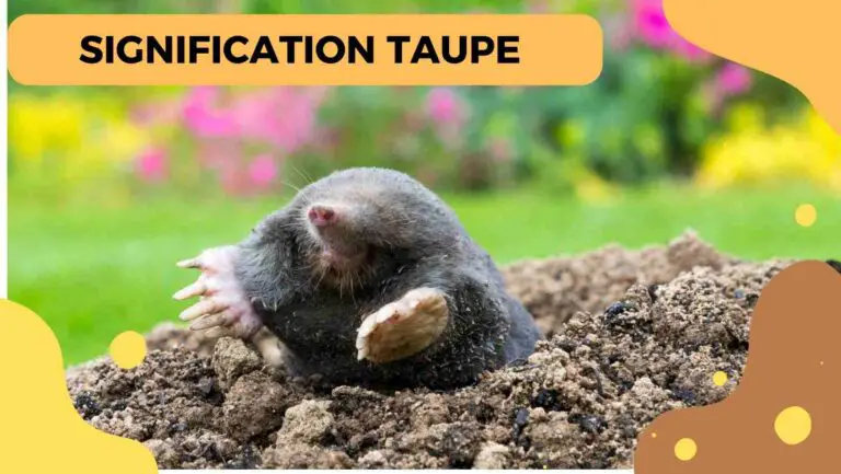 signification taupe