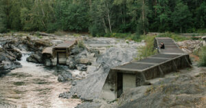 Climate Change Ravages Canada: Salmon Mass Deaths Surge