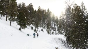 Lutsen Mountains Expansion Denied by Forest Service! ❌🏔️