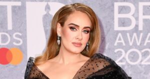 Security ‘Bothering’ Fan: Adele Pauses Vegas Concert, Calls Out