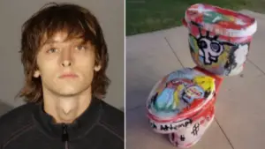 Toilet Skull Art: California Man Charged in Mall ‘Bomb Threat Incident’! 😮