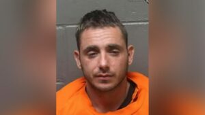 Shocking: NJ Man Breaks Girlfriend’s Cat’s Limbs Beyond Repair with Door 💔