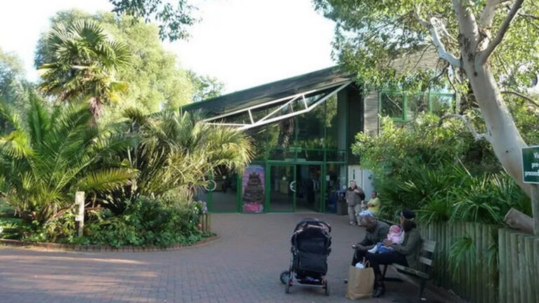 OP LY Paignton Zoo 1.jpg