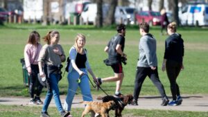 Top 3 Summer Dog Dangers Revealed by Vet – Beware the Unexpected Risk!