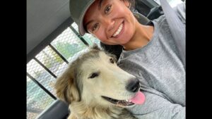 Volunteers Rescue Pets Left Behind in Canadian Wildfires, Reuniting Families