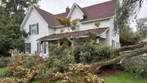 Michigan Devastated: 5 Lives Lost as Tornadoes Wreak Havoc with Storms 🌪️