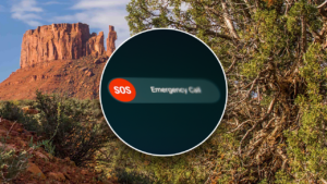 Survivor: Woman Hiking with Dog Rescued from Flash Flood