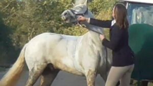 Former Teacher Breaks Down as Court Airs Moment She Punched Horse 😢