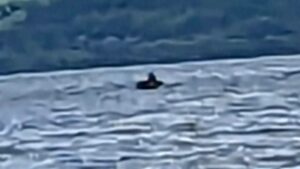 Unbelievable! Loch Ness Monster Sighting on Family Boat Trip 🌊😮