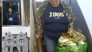 Cops Investigate Viral Video: Hotel Guests Strip Room Bare 🕵️‍♂️