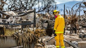 Hawaii Inferno: 388 Missing, Unaccounted 🔥 List Released | Global Update