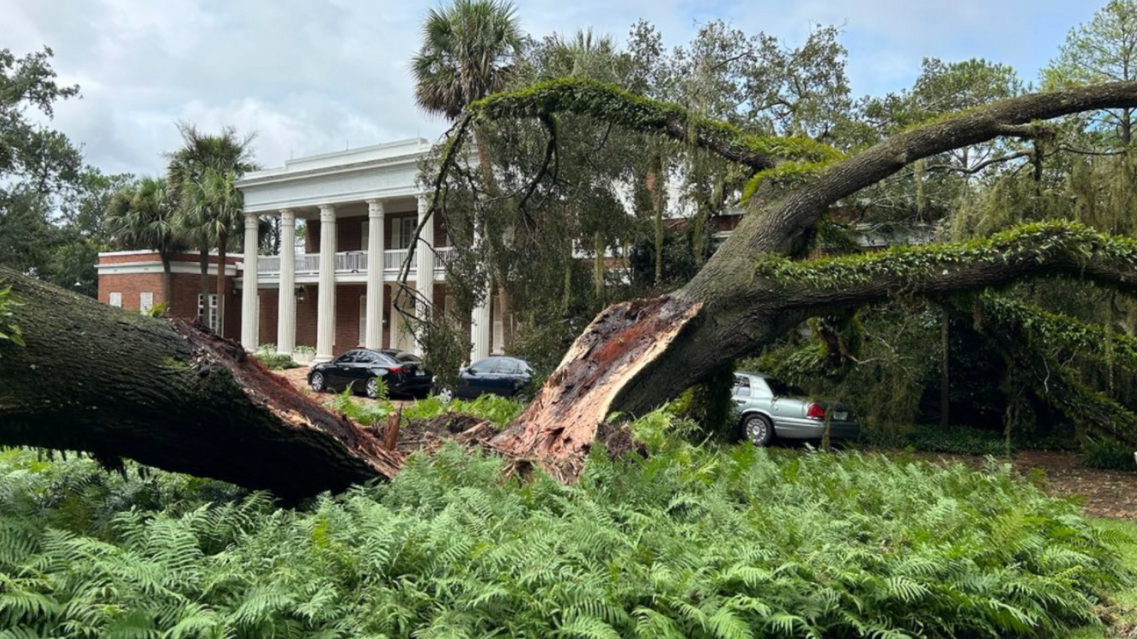 Tree Falls on Ron DeSantis’ House During Hurricane Idalia