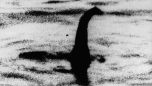 Loch Ness Monster Hunt Detects Possible Duck Noises