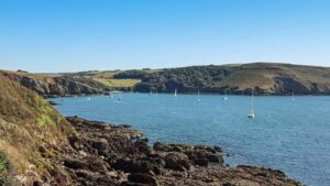 🚨 Danger! ‘Fearsome Predators’ Spotted Near UK Beach – Urgent Holiday Alert!