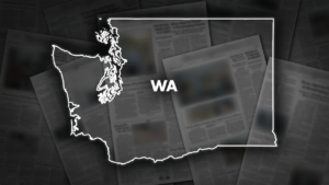 2 plead guilty to vandalizing Washington power substations, leaving thousands without power on Christmas Day