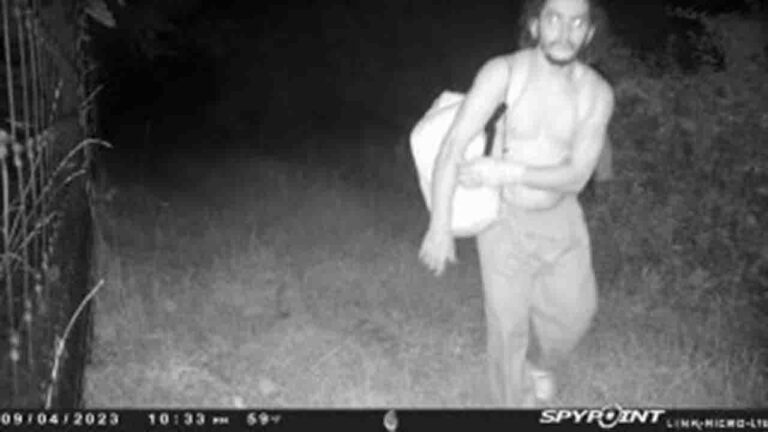 1694179614 PA manhunt trail cam images.jpg