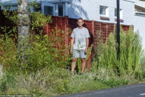 It’s a JUNGLE out there! How nature has reclaimed the streets of Brighton after woke council’s ‘rewilding’ plan