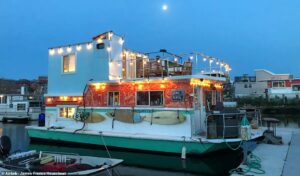 Quirky HOUSEBOAT in Queens hits the market for $250,000 – complete with VERY eclectic decor and stunning views
