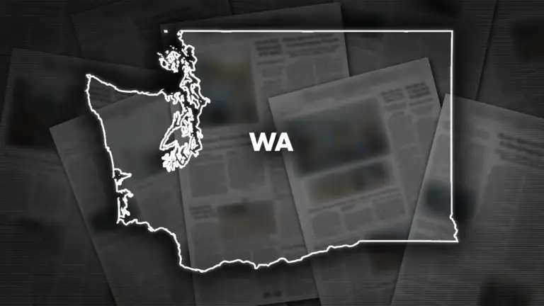 ALL CUSTOM FS LOCAL NEWS WA GENERAL.png