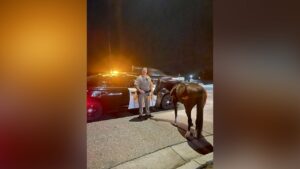 California police arrest alleged drunken horseman for DUI: ‘impaired riding’