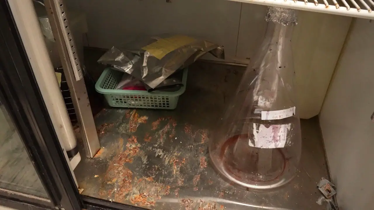Video captures China-linked California biolab’s major safety issues: Dirt, bugs, dried blood and more