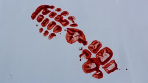 How to solve a cold case: What victims’ families need to know