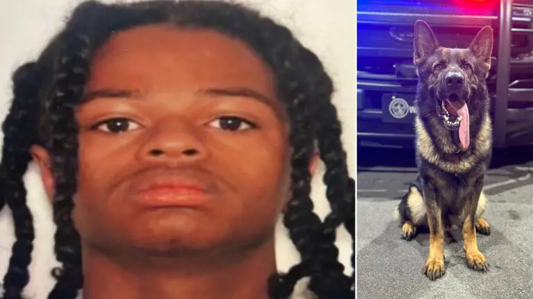 GA teen suspect K 9 split.jpg