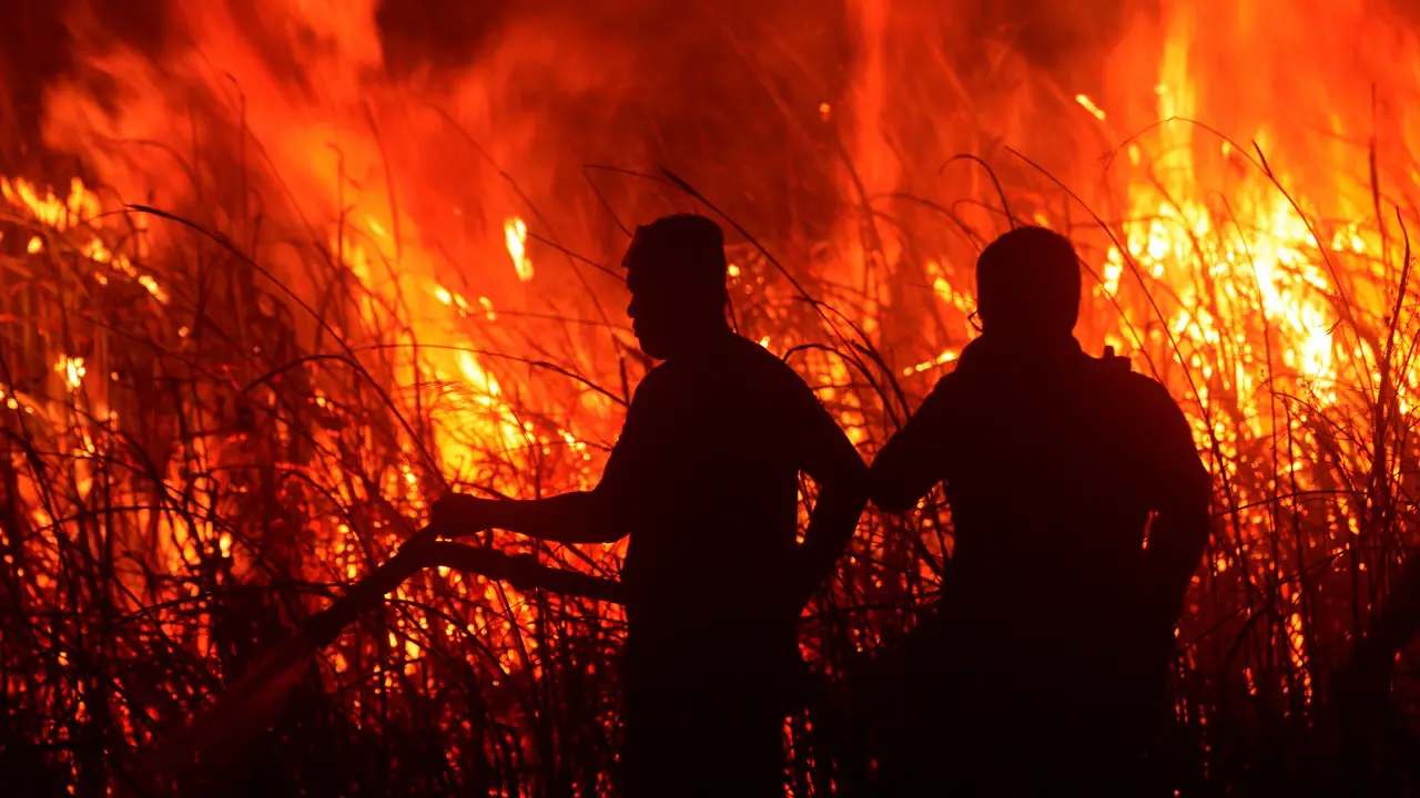 Indonesia battles peatland fires on Sumatra, officials assure limited regional impact