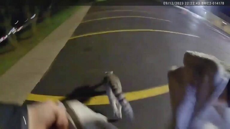 Missouri police 3body camera video shows officers chasing after escaped pet lemur.jpeg