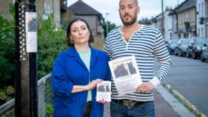 We put up posters in desperate bid to find missing cat but council jobsworths tore them down and threatened £1,000 fine