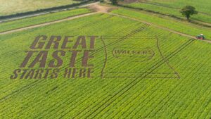 Walkers creates world’s BIGGEST ‘billboard’ in a field by turning 30k potato crops into huge advert
