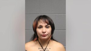 Illinois woman arrested for allegedly battering four Chicago cops: police