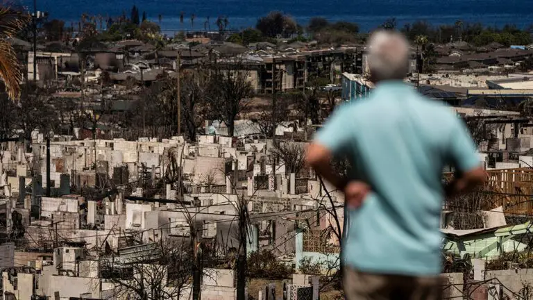 maui wildfire damage.jpg