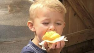 Boy, 5, died ‘after falling under the wheels of a van when his shoelaces got caught’ as driver faces court