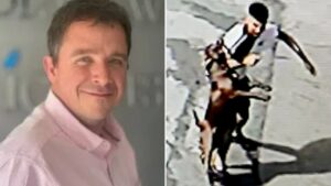 I’m a dog bite expert – here are five most dangerous breeds and why XL Bully ban won’t stop maulings