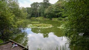 Kingsley pond: ‘Sweet’ girl, 2, died after being found ‘floating’ in water 200m from home as woman arrested on ‘murder’