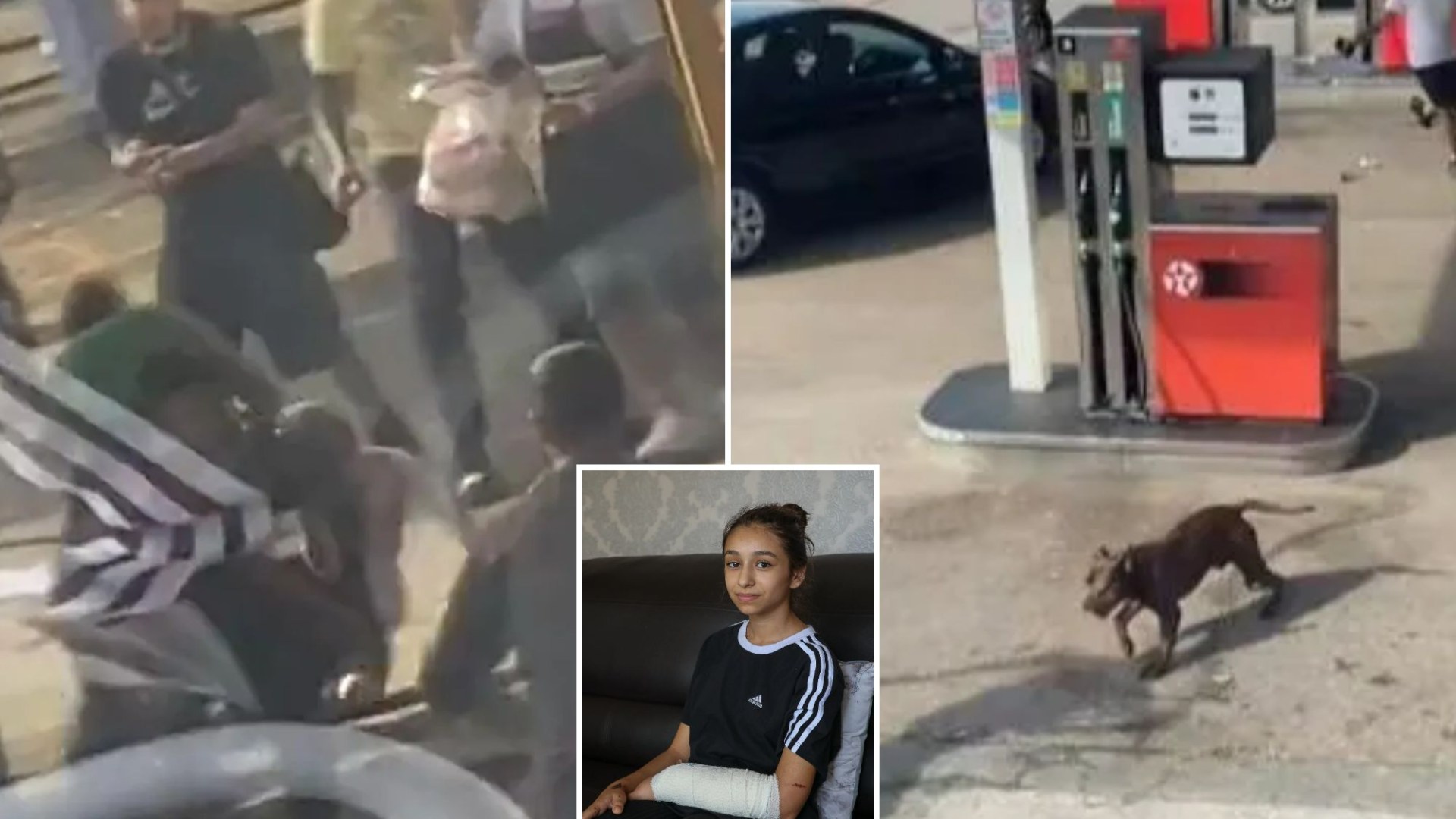Man, 60, arrested over XL bully dog attack on girl, 11, in Birmingham