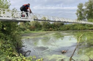 Fugitive Rescued from Pond After Escape Leaves Him Mired in Mud