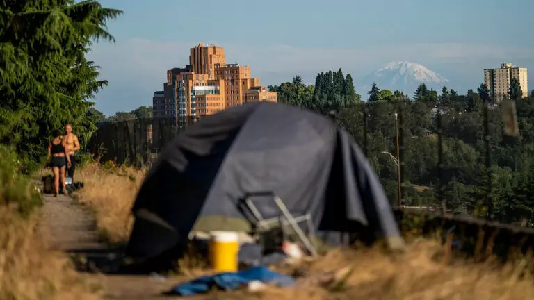 seattle tent mount rainier.jpg