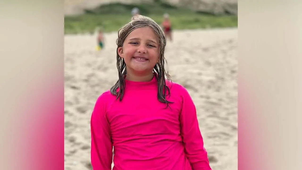 Missing 9-year-old girl Charlotte Sena found safe after New York state park disappearance: police